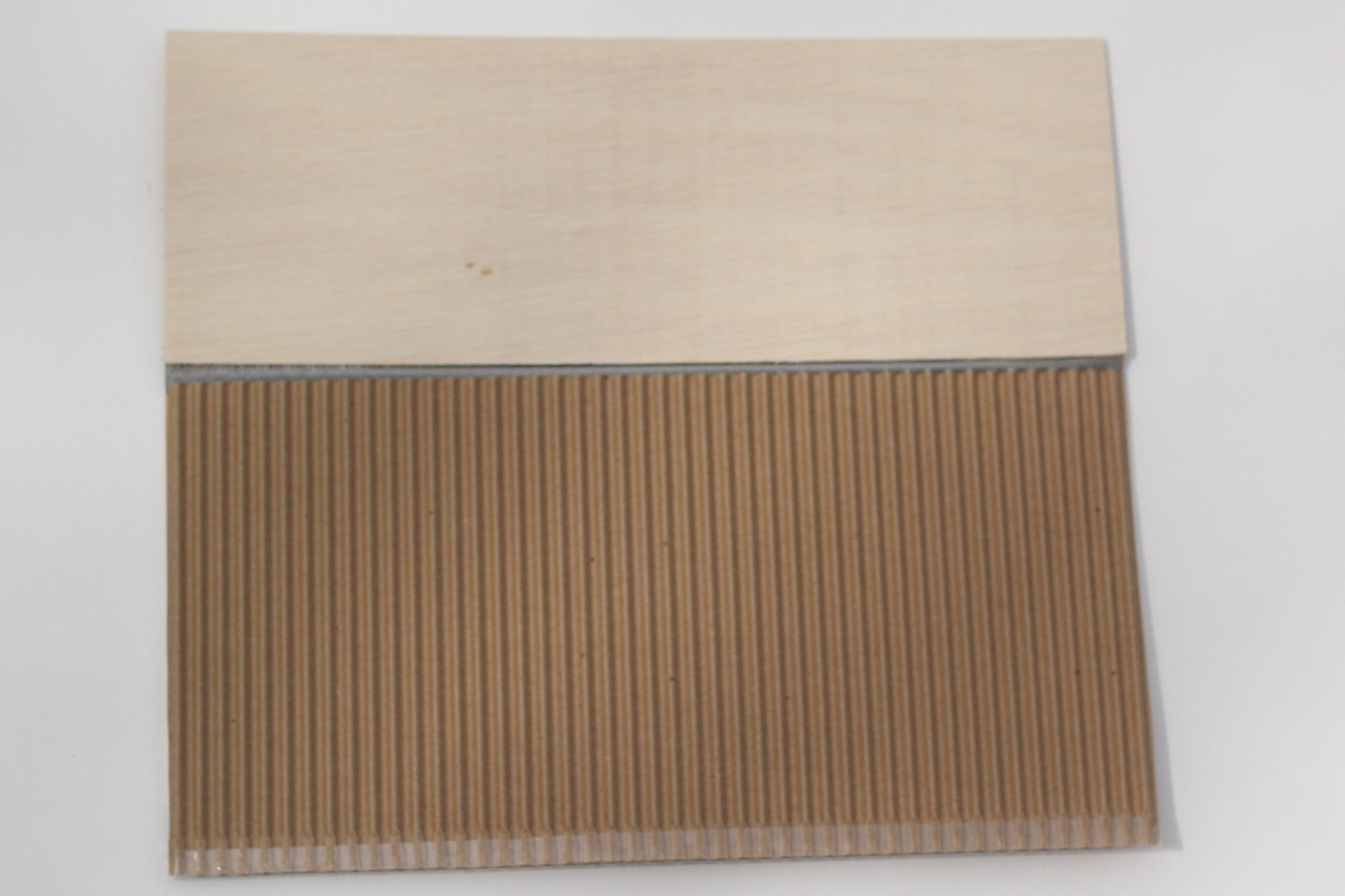 Open flat collectabug.JPG__PID:f60b0ff2-38a6-473e-bc57-2a43b5dca3d7